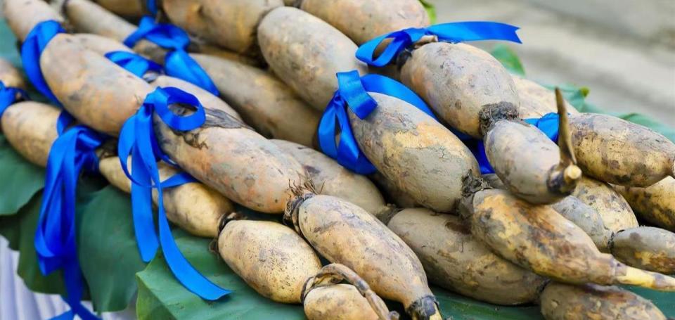 秋高气爽, 随着一声发, 还纷纷获赠 秋高气爽, 随着一声发, 还纷纷获赠