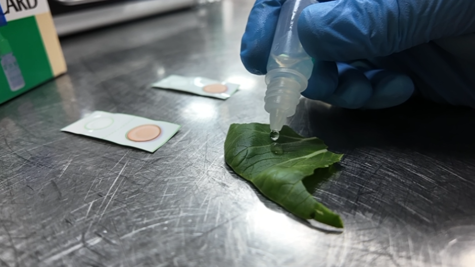 展检查, Qj, bt 展检查, Qj, bt